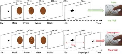 Individual differences in intracortical inhibition predict action control when facing emotional stimuli